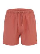 Shorts de bain 'Libero'