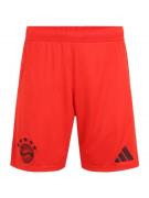 Pantalon de sport 'FC Bayern München Home 24-25'