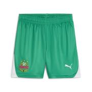 Pantalon de sport 'SK Rapid Wien'