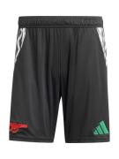 Pantalon de sport 'Arsenal 24/25'