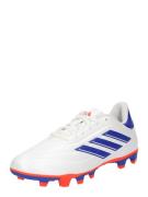 Chaussure de foot 'Copa Pure 2 Club'