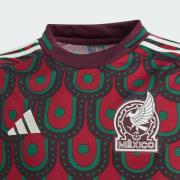 T-Shirt fonctionnel 'Mexico 24 Home'