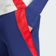 Pantalon de sport ' Olympique Lyonnais Tiro 24'