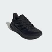 Chaussure de course 'Runfalcon+ 5'