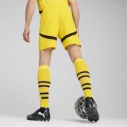 Pantalon de sport 'Borussia Dortmund 24/25'