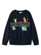 Sweat 'NKMDAY POKEMON'