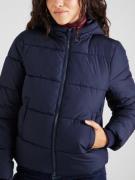 Veste d’hiver 'PCBee'