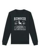 Sweat-shirt 'Weihnachten Reindeer Aviation'