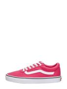 Vans - Ward