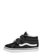 Vans - Td Sk8-mid