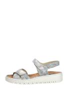 Waldläufer - H-willow  Kleuren