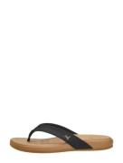 Reef - Cushion Harmony