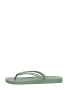 Ipanema - Anatomic Mesh