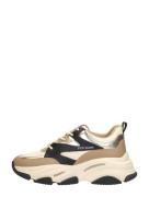 Steve Madden - Progressive