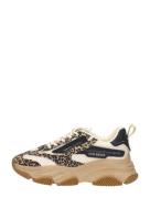 Steve Madden - Jpossesion