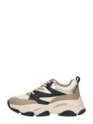 Steve Madden - Jprogressive