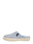 Verbenas - Yuma Curly