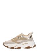 Steve Madden - Progressive