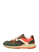 Scotch & Soda - Vivi