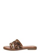 Sub55 - Open Teen Middel Bruin