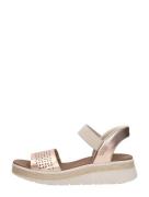 Skechers - Slip-ins: Bobs Sun Ray