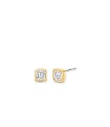 925 Sterling Silver Earrings 7967ZY