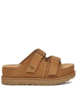 W Goldenstar Hi Slide