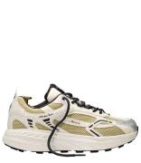 The Re-Run MAX Cactus