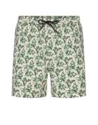 Anerkjendt Akshark aop swimshort tofu 900592