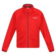 Regatta Kinder/kids highton lite ii soft shell jas