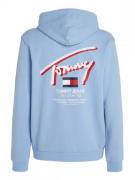 Tommy Hilfiger Dm0dm18647 street c3s moderate blue - sweater hoodie - ...