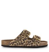 DWRS Label Leopard slippers leer met gouden details slippers met gesp ...