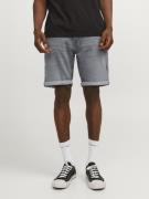 Jack & Jones Jjirick jjicon shorts ge 370 i.k ss