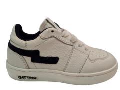 Gattino Y1015