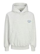 Jack & Jones Jorbrooklyn back sweat hood