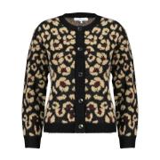 Red Button Leopard