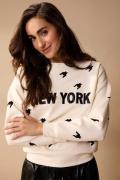 Lady Day Amsterdam sweater stella champagne