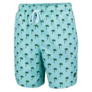 Falcon Zwemshort heren