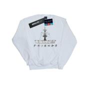 Friends Dames fountain sketch sweatshirt