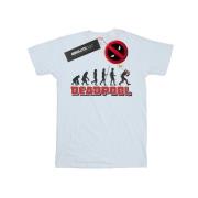 Marvel Avengers Dames deadpool evolution katoenen vriendje t-shirt