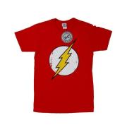 DC Comics Heren flash distressed logo t-shirt