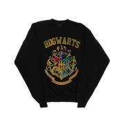 Harry Potter Heren zweinstein varsity sweatshirt