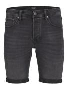 Jack & Jones Jwhrick jjoriginal shorts sq 354