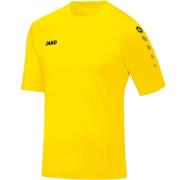 Jako shirt team km voetbal shirt (cat) km heren