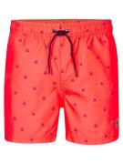 Petrol Industries Men swimshort neon