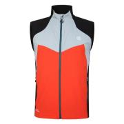 Dare2b Heren latitudinal softshell gilet