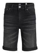 Jack & Jones Jjirick jjoriginal shorts mf 2350 j