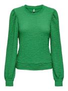 Only Onlmai ls top cc jrs -