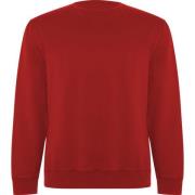 Roly Unisex adult batian sweatshirt met ronde hals