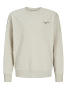 Jack & Jones Jjjeff monochrome sweat crew neck j